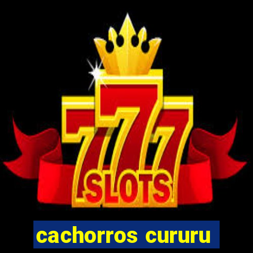 cachorros cururu